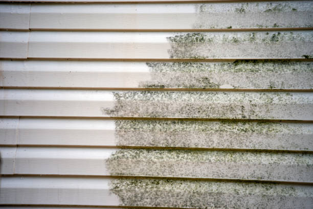 Reliable Muscle Shoals, AL Junk Removal Solutions